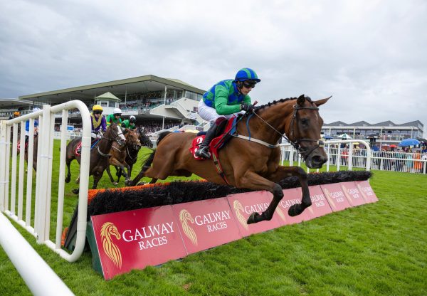 Champ Kiely (Ocovango) Impresses On Hurdle Debut At Galway