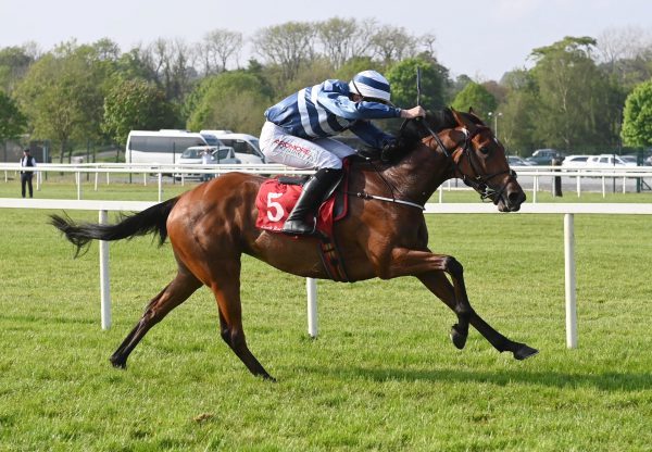 Churchfield Sunset (Wings of Eagles) Wins On Debut At Cork