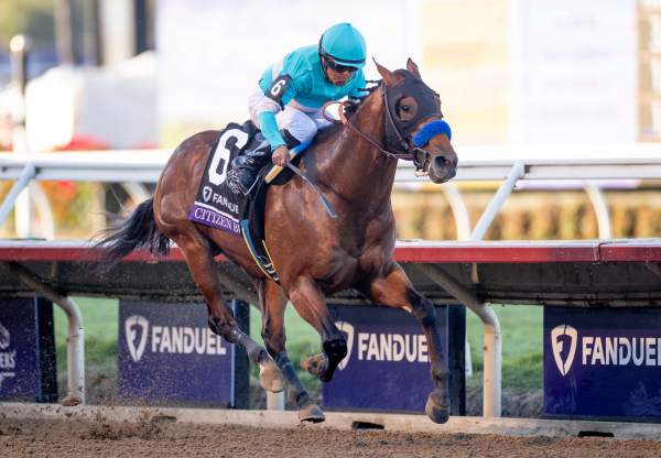 Citizen Bull Juvenile