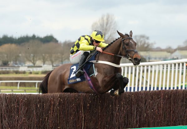 City Chief (Soldier Of Fortune) Wins The Grade 2 Towton Novices Chase at Wetherby