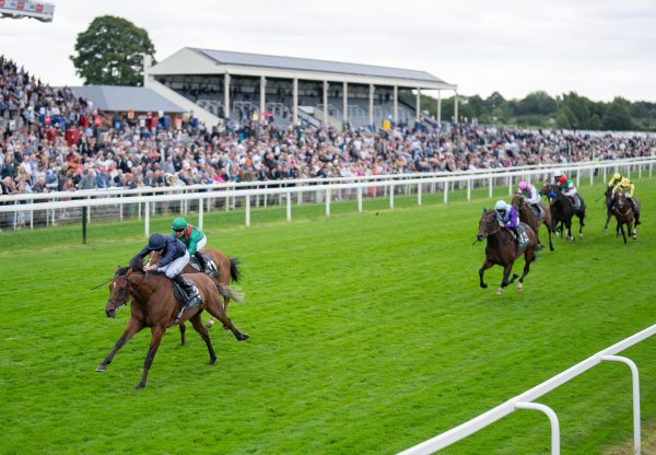 City Of Troy (Justify) Wins The Group 1 Juddmonte International Stakes