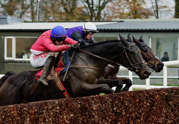 Classic Getaway (Getaway) Wins The Beginners Chase At Gowran Park