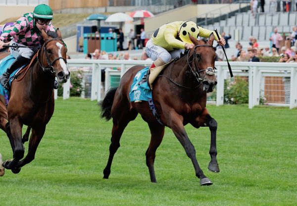 Clochette (No Nay Never) Makes All To Win At Ascot