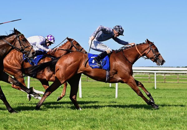 Collage (Churchill) Wins Her Maiden At Tipperary