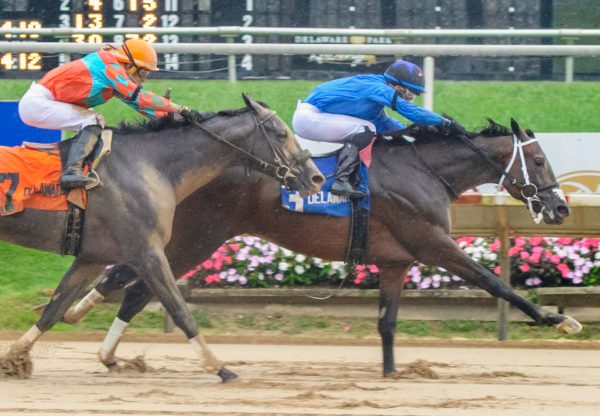 Cooke Creek (Uncle Mo) wins the Rocky Run Stakes at Delaware