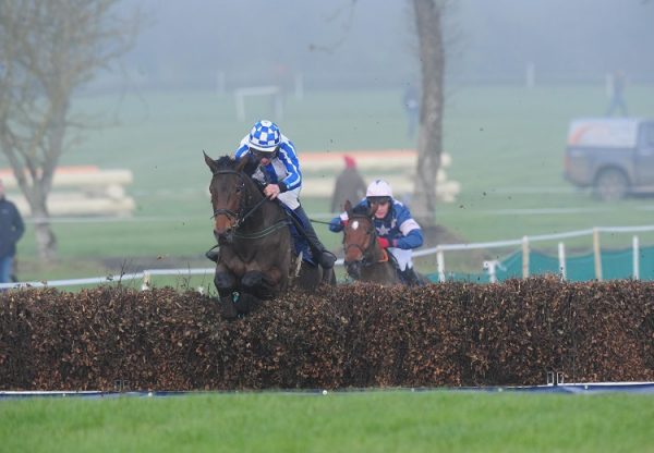 Cool Getaway (Getaway) winning a point-to-point at Tattersalls