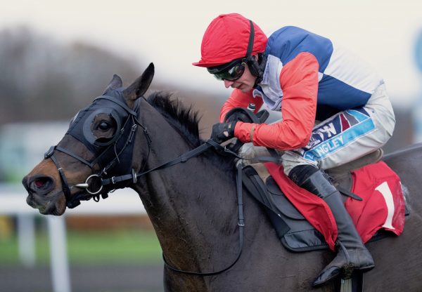 Coquelicot (Soldier Of Fortune) Wins The Listed Mares Hurdle At Kempton