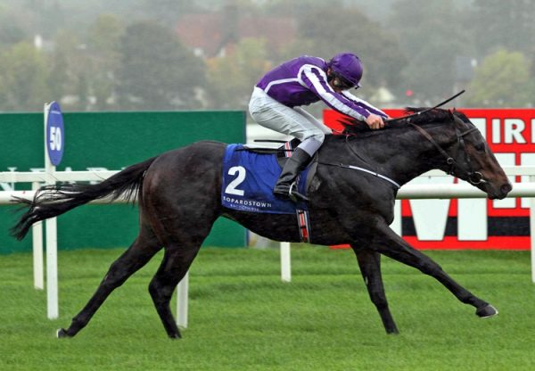 Craftsman (Mastercraftsman) winning the Gr.3 Killavullan Stakes at Leopardstown