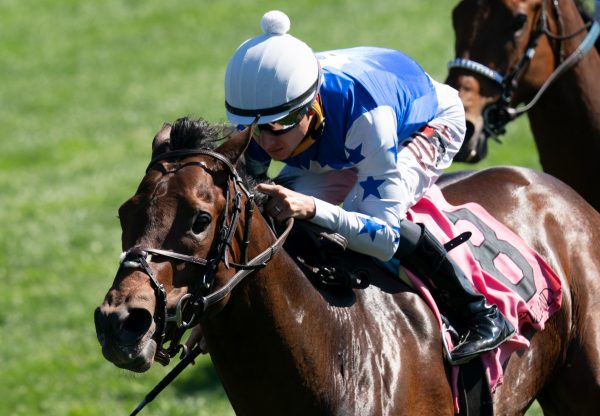 Curly Larry Mo (Mo Town) Wins Keeneland MSW
