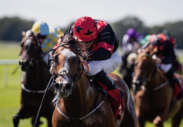 Current Option (Camelot) Wins The Listed Platinum Stakes at Cork