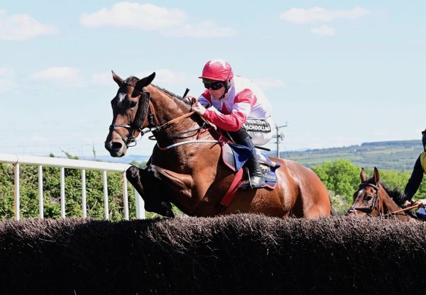 Dame De Fortune (Soldier Of Fortune) Wins The Mares Maiden At Tralee