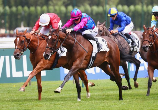 Dare To Dream (Camelot) Wins On Debut at Deauville
