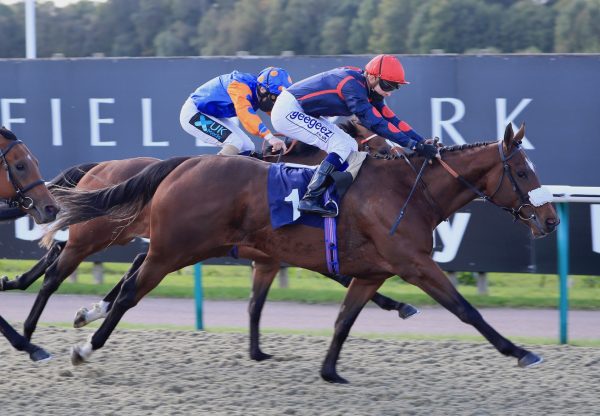 Dejame Paso (The Gurkha) Wins At Lingfield