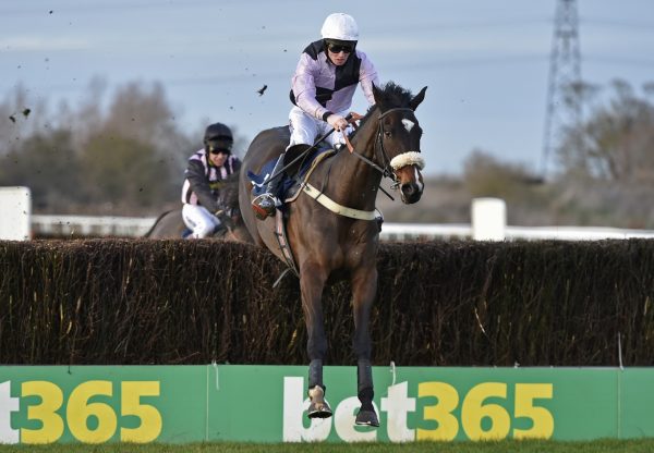 Dell Oro (Walk In The Park) winning the Weatherby's Racing Bank Chase at Huntingdon