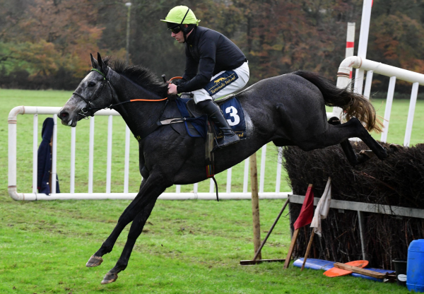 Delta Blues Belle (Walk In The Park) Knockmullen Ptp