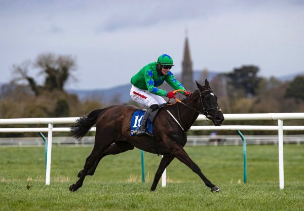 Derrylinda (Soldier Of Fortune) Makes An Impressive Debut At Tipperary