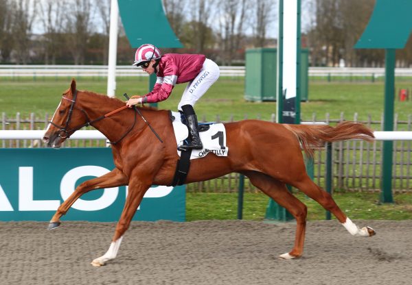 Devil In The Sky (Starspangledbanner) Wins His Maiden At Chantilly