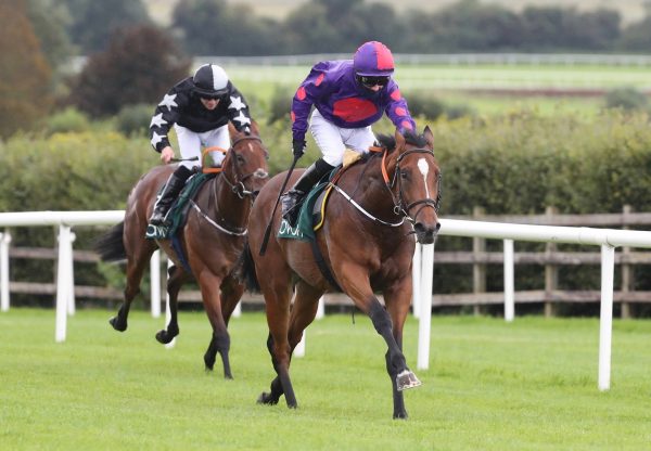 Diamond Eyes (Rock Of Gibraltar) Wins Her Maiden At Navan