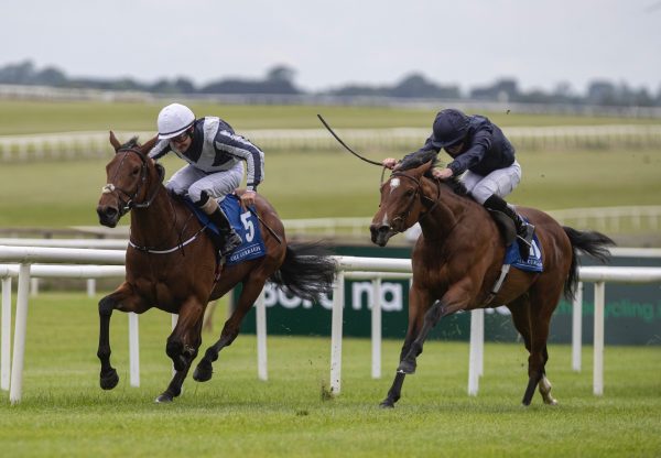 Discoveries (Mastercraftsman) Wins The Fillies Maiden At The Curragh