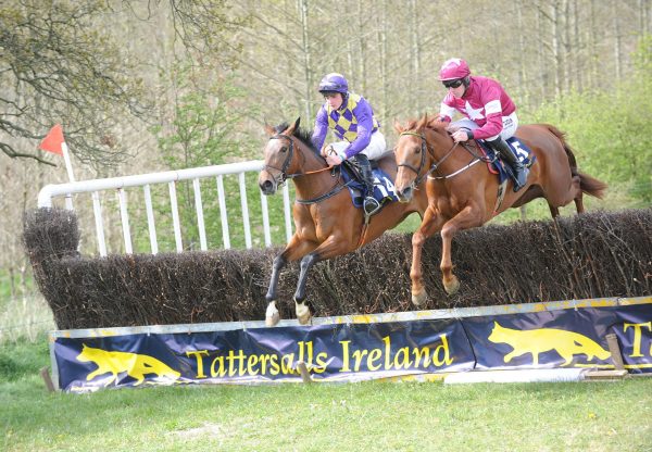 Domitian (Getaway) winning a 4yo mares maiden at Bellurgan Park