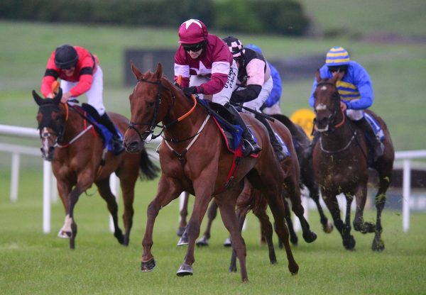 Domitian (Getaway) Wins At Clonmel