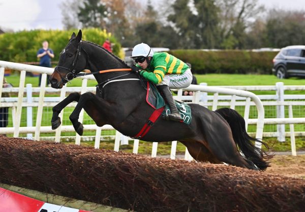 Down Memory Lane (Walk In The Park) Wins The Beginners Chase At Navan