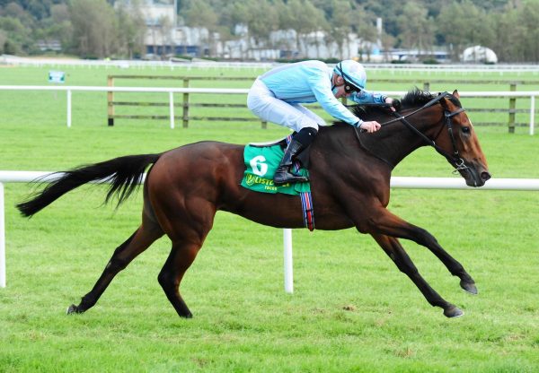 Druids Altar (Mastercraftsman) Wins At Listowel