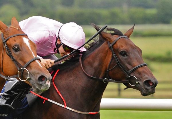Drumquina Becomes The Latest Winner By Holy Roman Emperor
