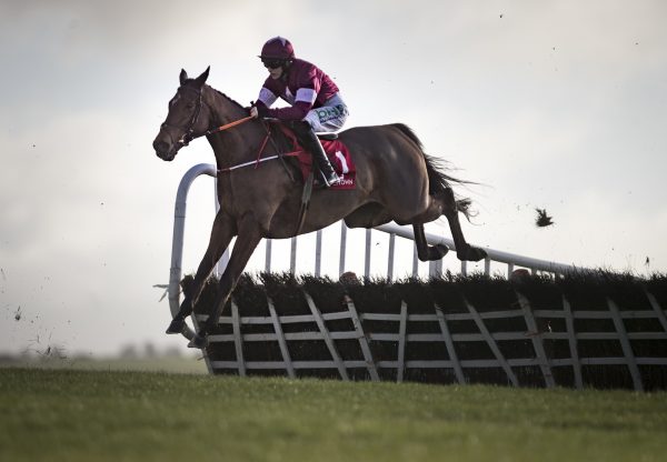 Due Reward (Westerner) On His Way To Winning The Rated Novice Hurdle At Punchestown