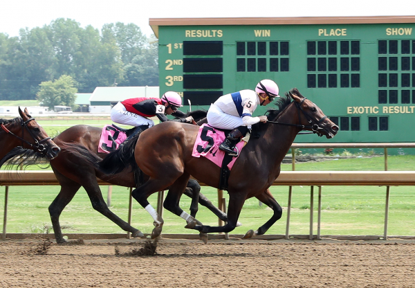 Echo Sound (Echo Town) Wins Ellis Msw