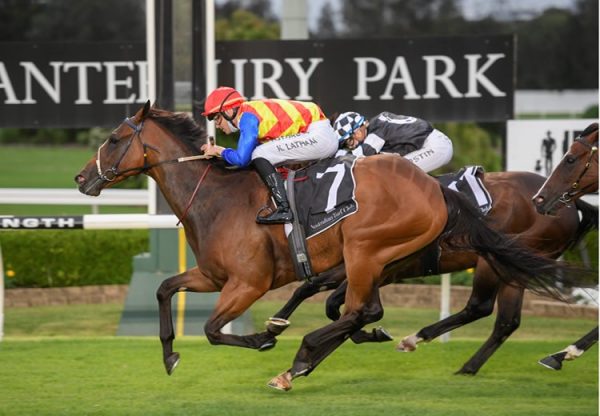 Eleven Eleven (Fastnet Rock) winning the Christmas Classic at Canterbury