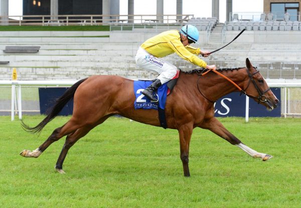 Epona Plays (Australia) Wins The Group 2 Lanwades Stud Stakes At The Curragh