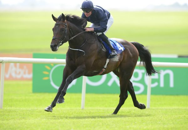 Ernest Hemingway (Galileo) Winning The G3 Curragh Cup At The Curragh
