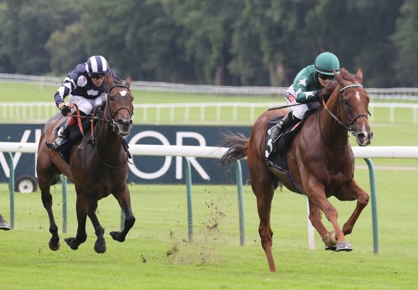 Extra Elusive (Mastercraftsman) Wins The Gr.3 Rose Of Lancaster Stakes at Haydock