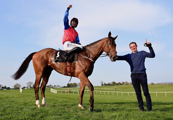 Facile Vega (Walk In The Park) After Winning The Grade 1 Punchestown Champion Bumper