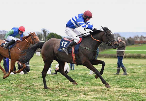 Faha Belle (Soldier Of Fortune) Wins At Nenagh
