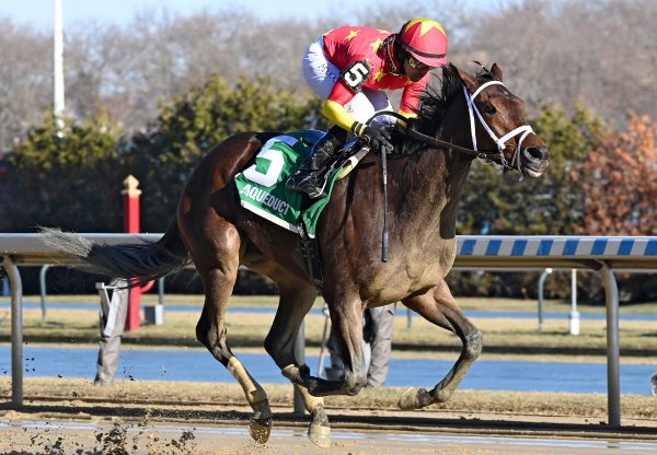 Falconet (Uncle Mo) wins the Ladies Stakes at Aqueduct
