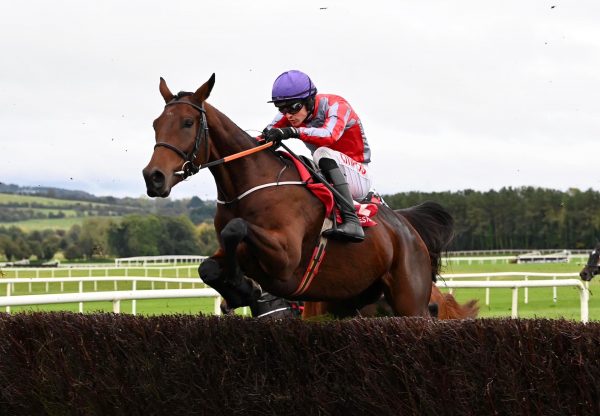 Fascile Mode (Walk In The Park) Wins The Beginners Chase At Punchestown