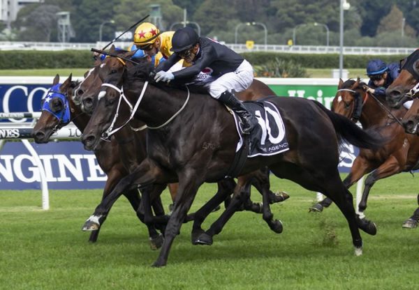 Fasika (So You Think) winning the Listed ATC South Pacific Classic at Randwick