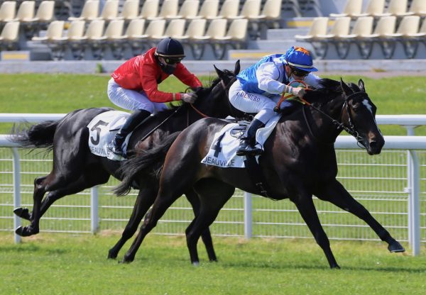 Feelie Win (Holy Roman Emperor) Wins On Debut At Deauville