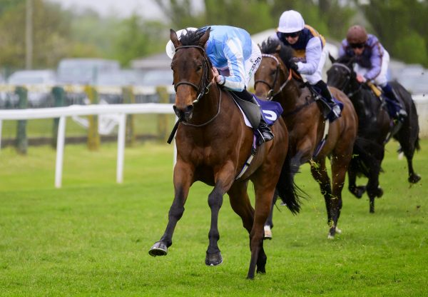 Fifty Nifty (Ten Sovereigns) winning at Yarmouth