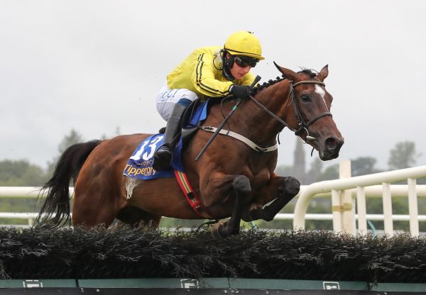 Finest Evermore  (Yeats) Wins The Maiden Hurdle At Tipperary