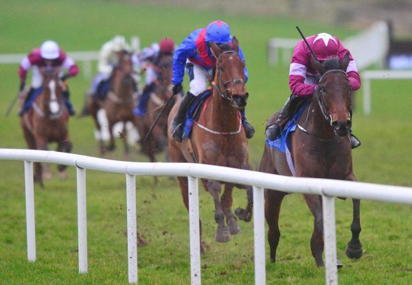 Fire Attack (Westerner) Makes A Winning Debut At Limerick