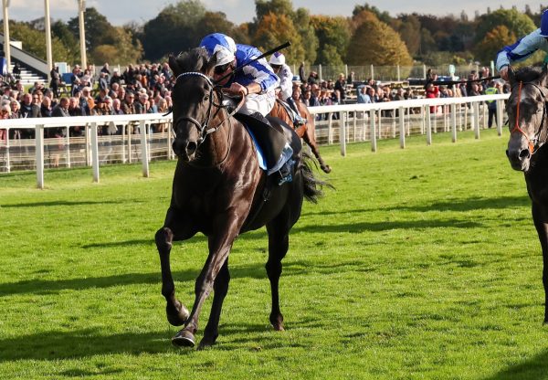 Fondo Blanco (Ten Sovereigns)  Wins At York