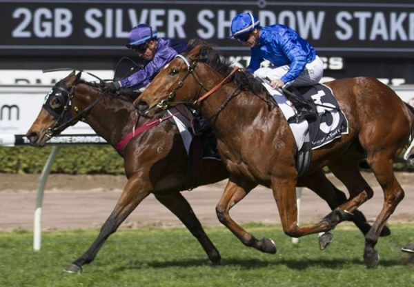 Formality (Fastnet Rock) winning the Gr.2 Silver Shadow Stakes