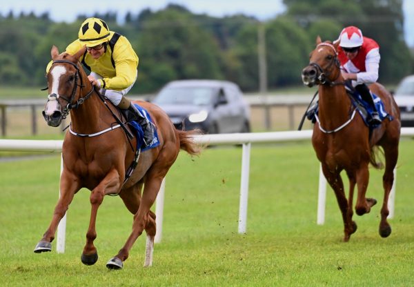 Four Blondes (Gleneagles) Wins Her Maiden At Fairyhouse