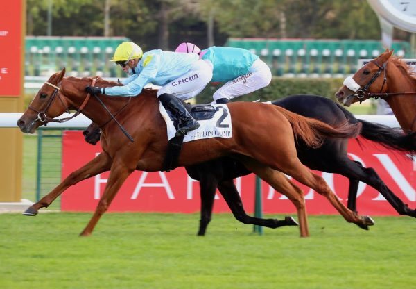 Frenchette (The Gurkha) Wins Her Maiden At Longchamp