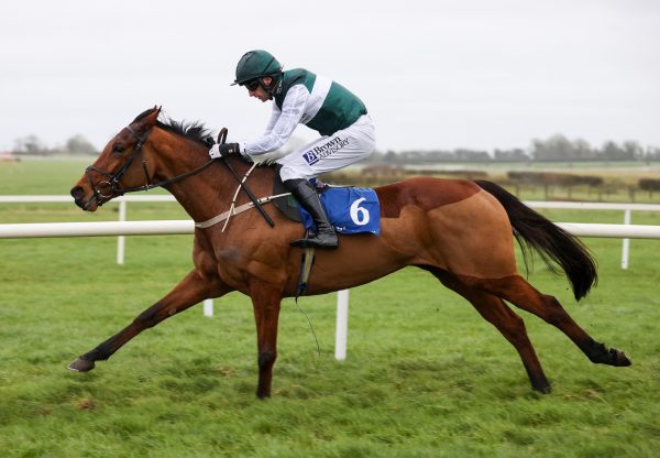 Future Prospect (Order of St George)  Wins Rules Debut At Fairyhouse