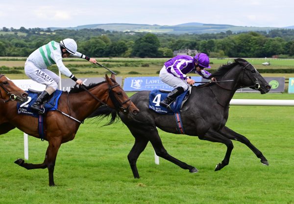 Galleria Borghese (Caravaggio) Wins the Listed Naas Oaks Trial at Naas