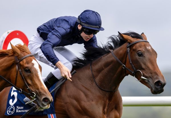 Garden Of Eden (Saxon Warrior) Wins Her Maiden At Naas